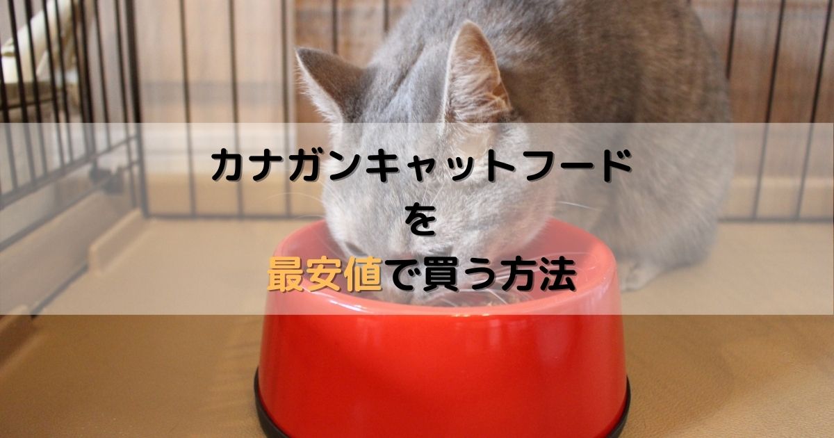 カナガンキャットフードを最安値で買う方法を紹介！賢くゲット 